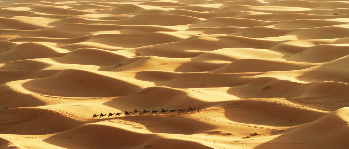 Muhammed Yusuf Kandehlevî’nin (k.s.) Hayatı