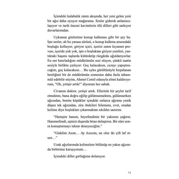 Ağır Tüy | M. Yücel Öztürk