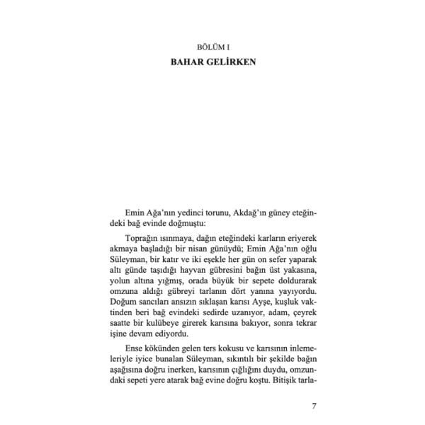 Kırlangıçlar Erken Göçtü | Şerif Benekçi