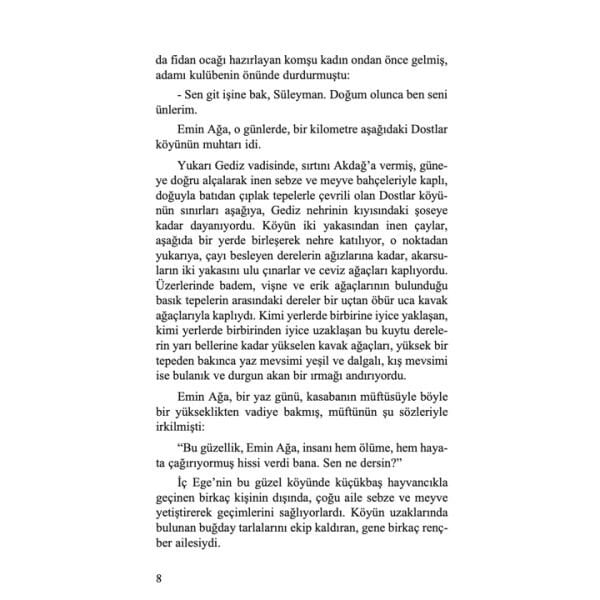 Kırlangıçlar Erken Göçtü | Şerif Benekçi