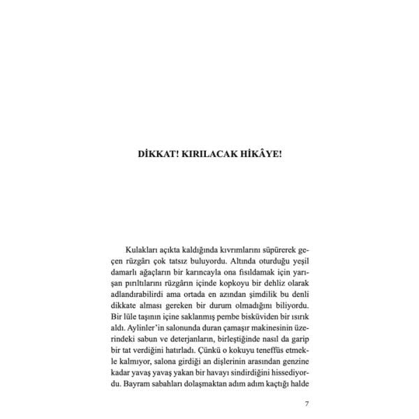 Dikkat Kırılacak Hikaye | Jale Nur Turgut