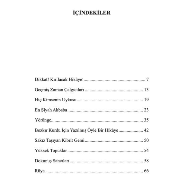 Dikkat Kırılacak Hikaye | Jale Nur Turgut