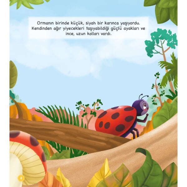 Mutlu Hikayeler Serisi Takım | Mehmet Ali Özkan