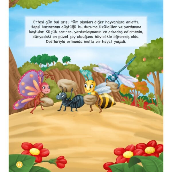 Mutlu Hikayeler Serisi Takım | Mehmet Ali Özkan