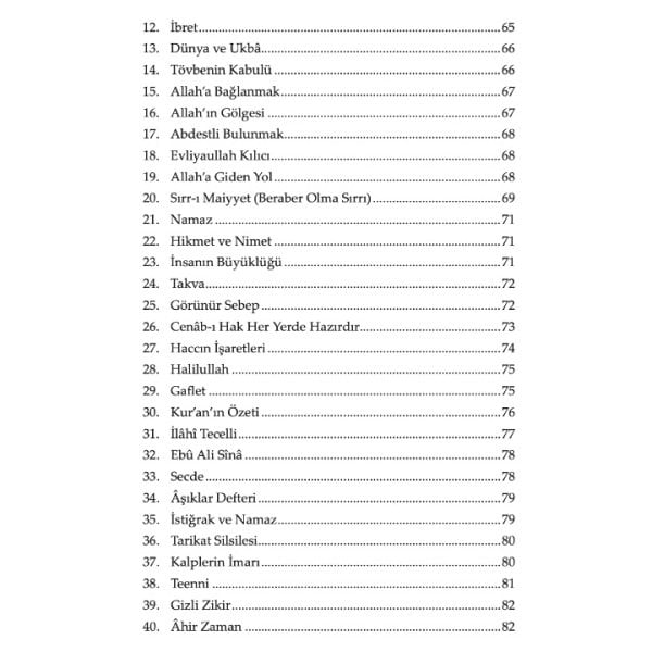 Samini'nin Gül Bahçesinden Sohbetler 5 Kitap Set | Ömer Ziya Belviranlı