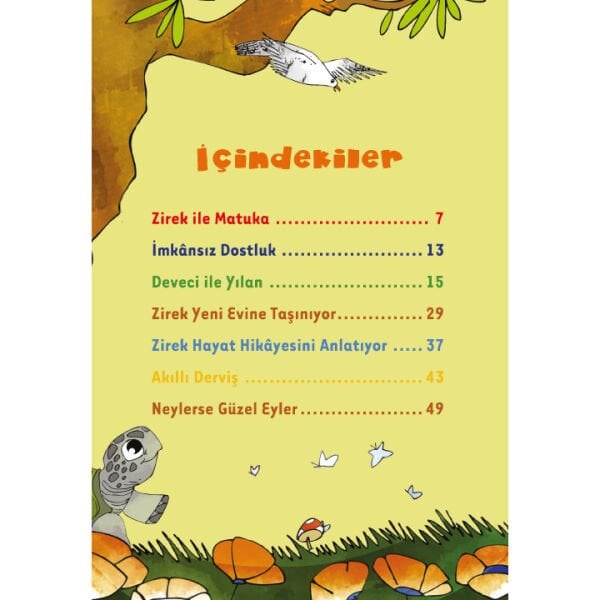 Zirekin Maceraları | Neslihan Beyhan