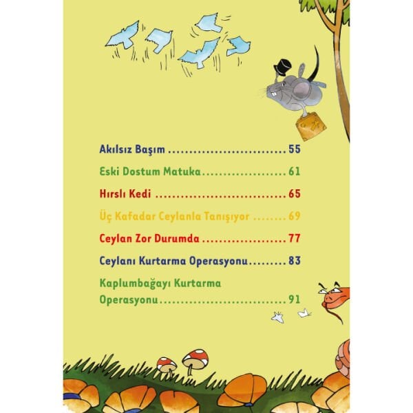 Zirekin Maceraları | Neslihan Beyhan