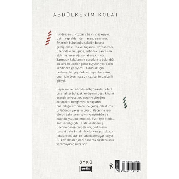 Dar Bütçeli Bir Öykü | Abdülkerim Kolat