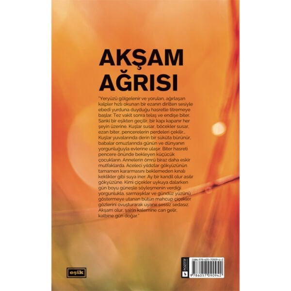 Akşam Ağrısı | Hüseyn Kaya