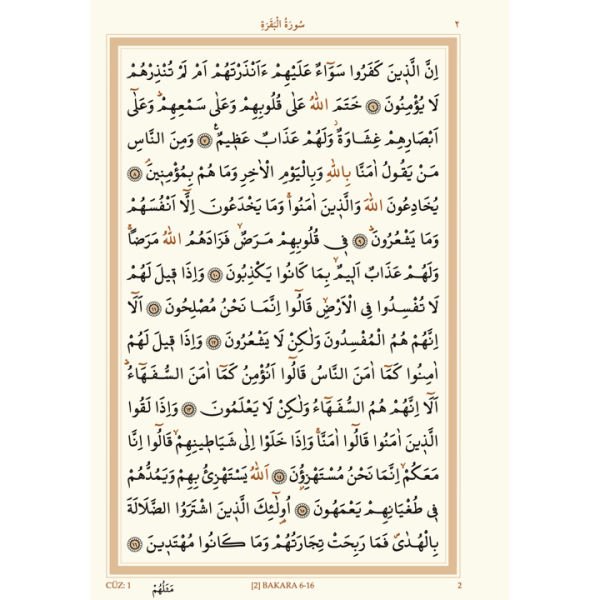 Mushafı Şerif Orta Boy 2 Renk | Yeşil | Özel Tasarım