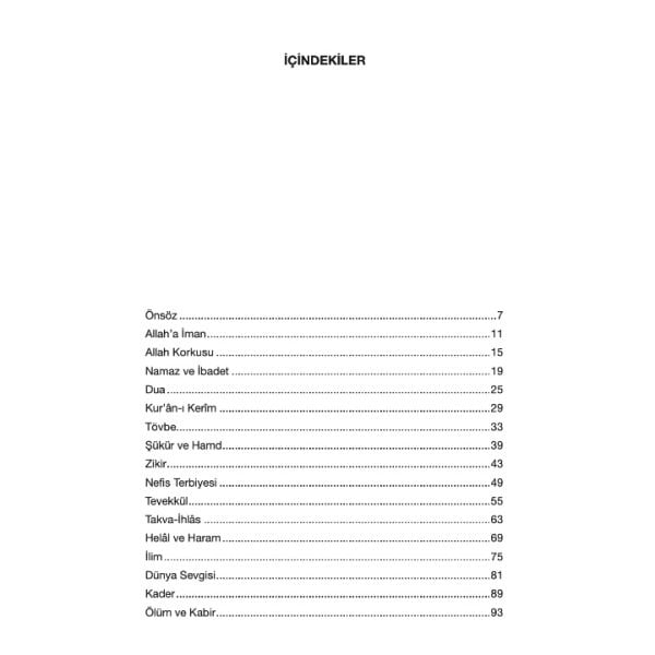 Seyrimde Bir Şehre Vardım | Ruhan Umut