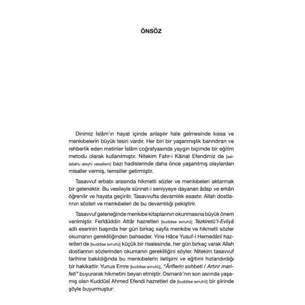 Seyrimde Bir Şehre Vardım | Ruhan Umut