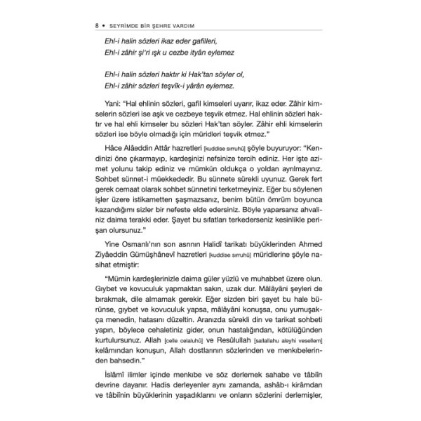 Seyrimde Bir Şehre Vardım | Ruhan Umut