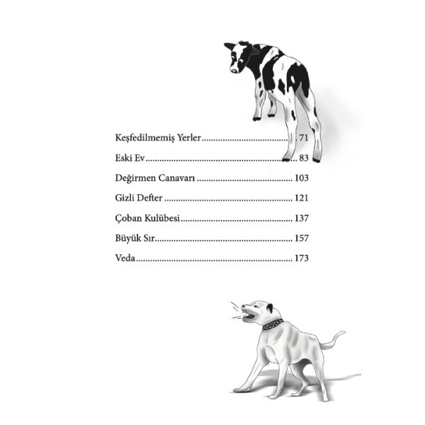 Değirmen | Bir Yaz Tatili Macerası