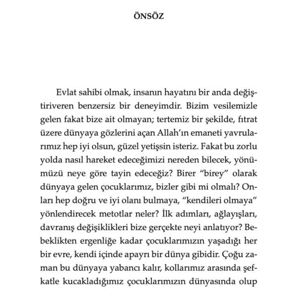 Çocuk Eğitiminde Pedagojik Çözümler | Perihan Gül