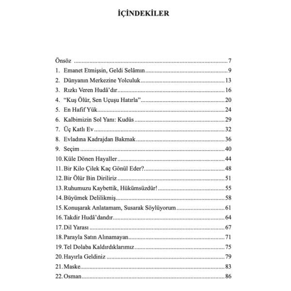 Bir Eylül Akşamı Eve Dönerken | Sümeyra Z.Konar
