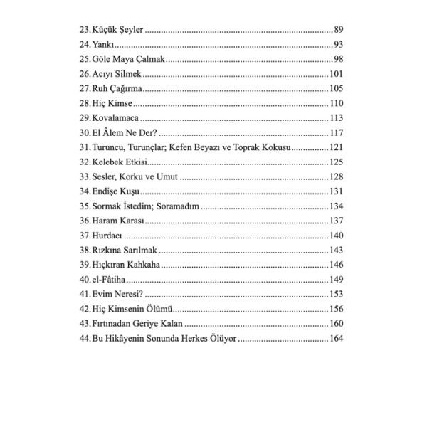 Bir Eylül Akşamı Eve Dönerken | Sümeyra Z.Konar