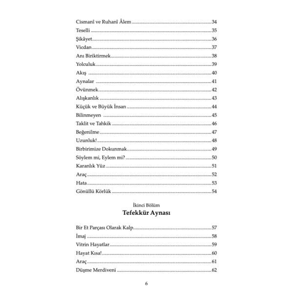 İnsanı Düşünmek | Sulhi Ceylan