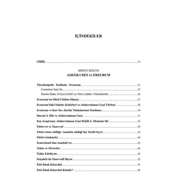 Tasavvuf İkliminde Erzurum | Muzaffer Taşyürek