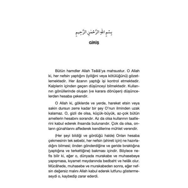 Nefis Muhasebesi | İhya-u Ulumiddin | İmam Gazali