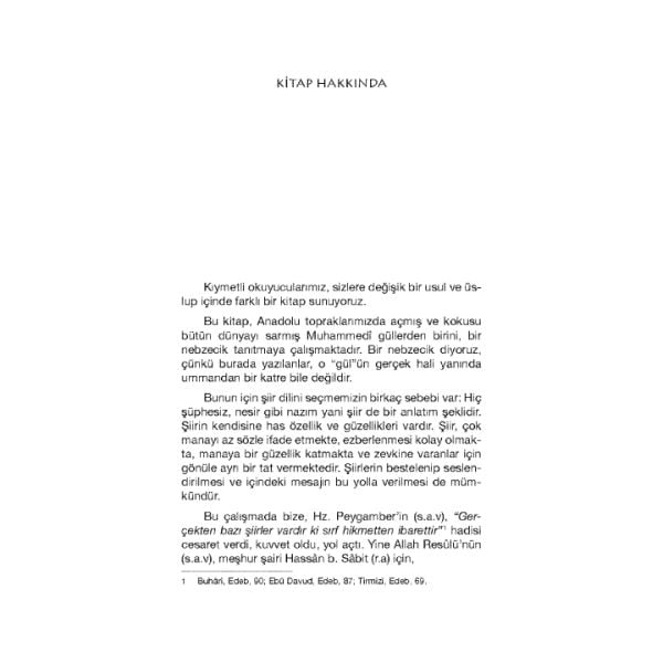 Gönülden Gönüle Hikmetler | Dilaver Selvi