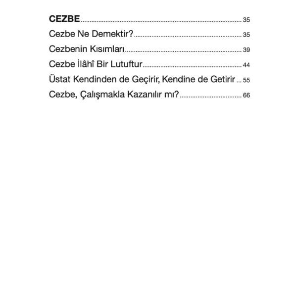 Aşk Muhabbet Cezbe | Dr. Ahmet Çağıl | Mehmet Ildırar