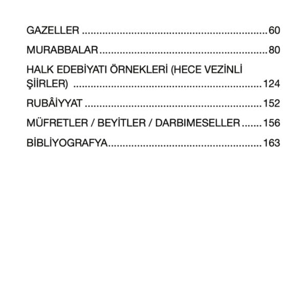 Aziz Mahmud Hüdayi | Mehmet Emin Ertan