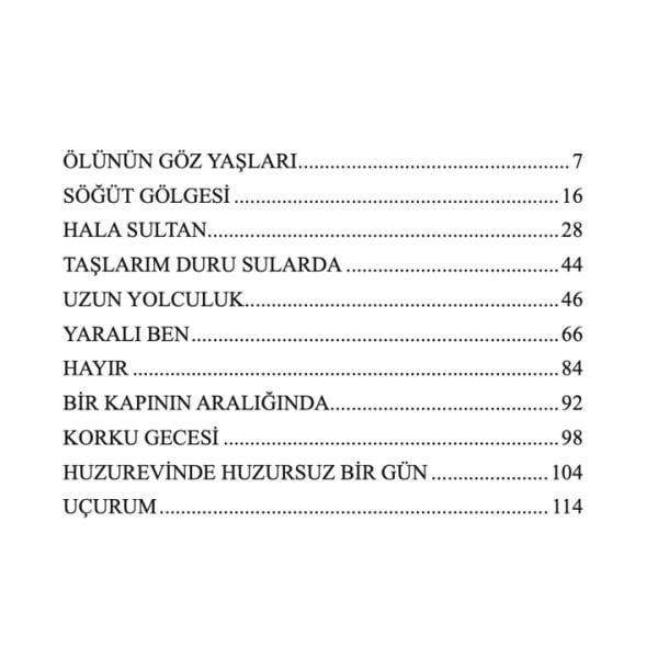 Rüya Rüya İçinde | Ali Haydar Haksal
