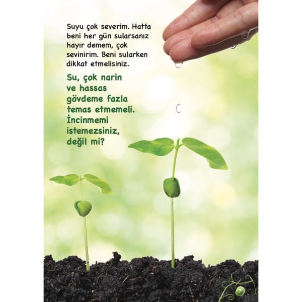 Sebzeler Konuşuyor Serisi 10 Kitap