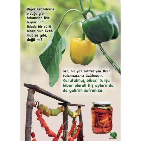 Sebzeler Konuşuyor Serisi 10 Kitap