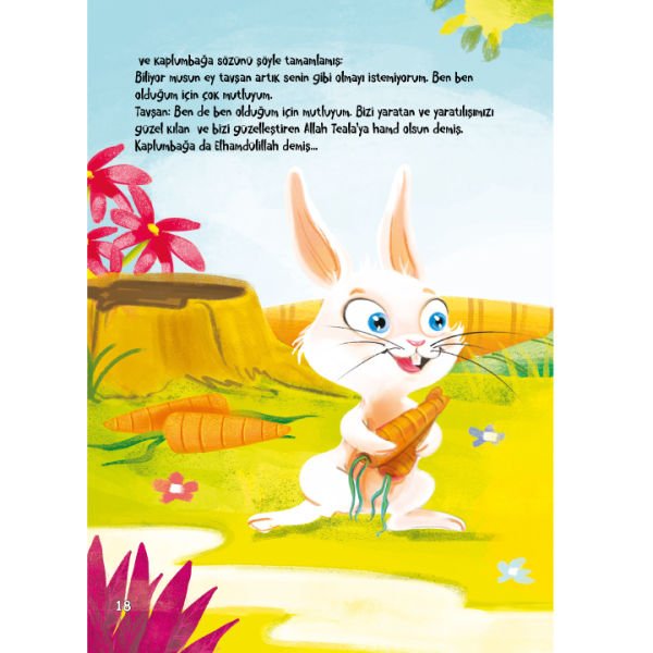 Kaplumbağanın Hayali | Samiye Abdurrahman Farih