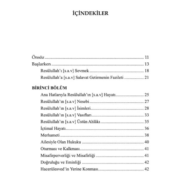 Mekkeden Doğan Güneş | Muhammed Danışman