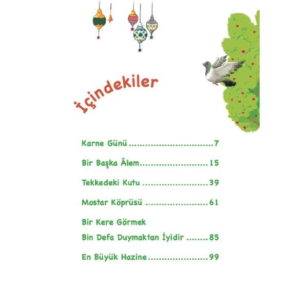 Bosnada Hazine Peşinde | Aliye Küçük